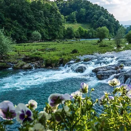 Villa Peaceful Oasis - House For Rest And Relaxation *